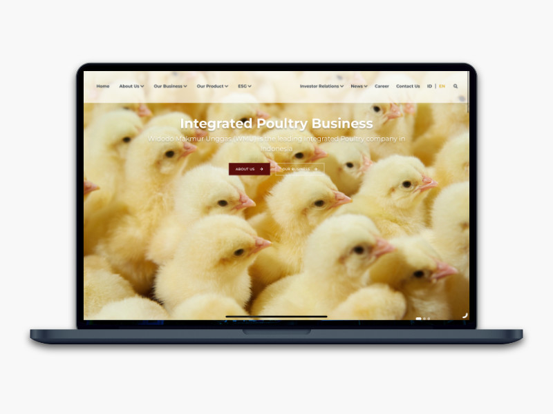 Website Company Profile